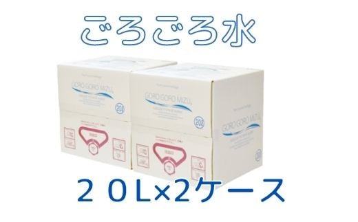 大峰山の超名水　ごろごろ水　20L×2ケース