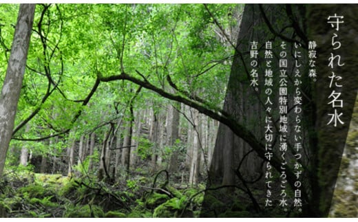 螟ァ蟲ー螻ア縺ョ雜蜷肴ーエ縲縺斐m縺斐m豌エ縲500mlテ2繧ア繝シ繧ケ