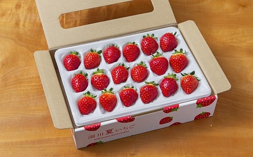 洞川夏いちご