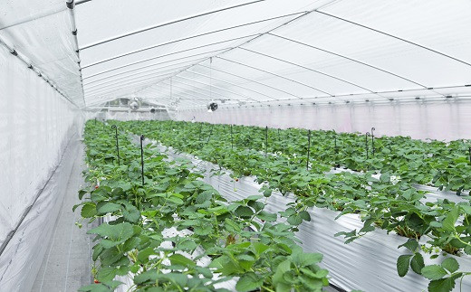 豢槫キ晏、上>縺。縺