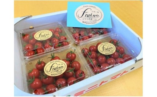 M013縲繝輔Ν繝シ繝繝溘ル繝医槭ヨ