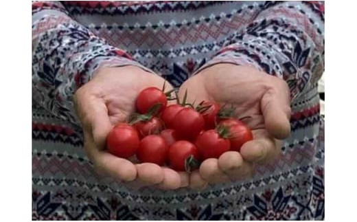 M013縲繝輔Ν繝シ繝繝溘ル繝医槭ヨ