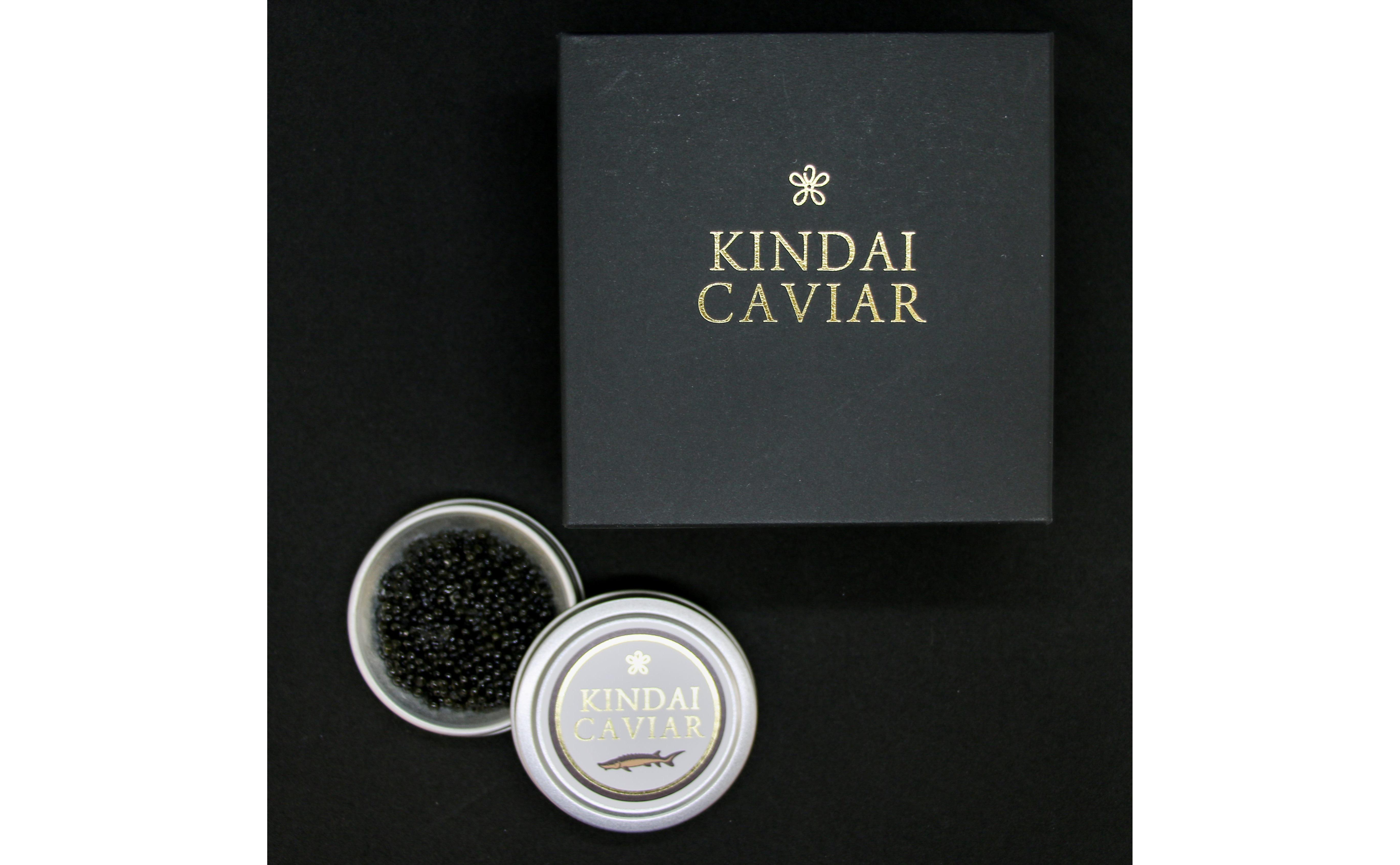 M151　近大キャビア１０ｇ