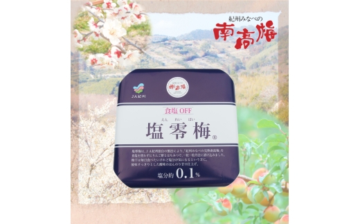 N073　塩零梅