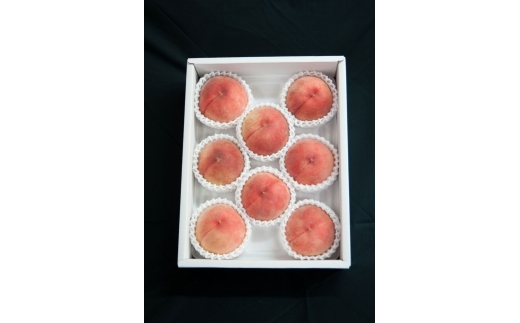N029　あら川の桃　優品（ご家庭用）２ｋｇ（６～８玉入り）