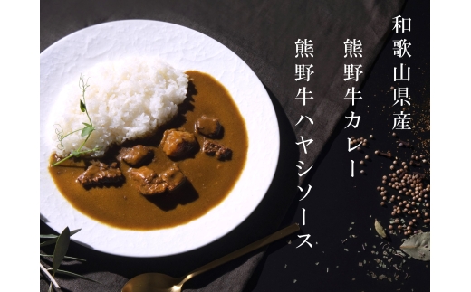 N221　熊野牛カレー４個セット