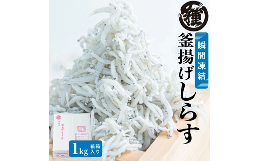 N213　釜揚げしらす　１Ｋｇ