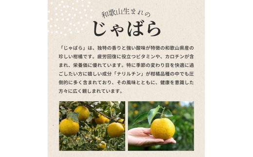 N330縲縺倥c縺ー繧峨せ繝医Ξ繝シ繝域棡豎シ托シ包シ撰ス搾ス鯉シ匁悽繧サ繝繝