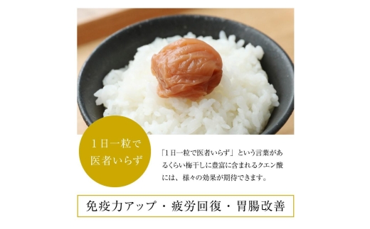 N185　紀州特選南高梅　華結１５粒（まろやか）