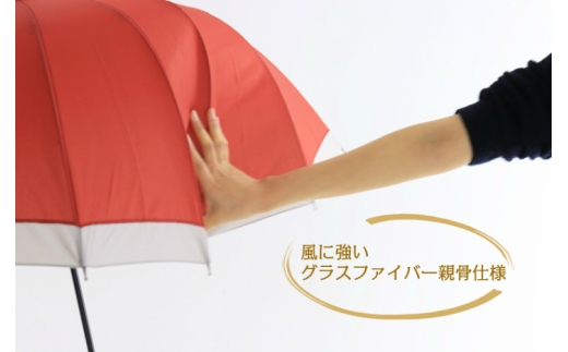 N162　紀州漆器アンブレラ『根来』１６本骨和傘　カバー付　ギフト箱入