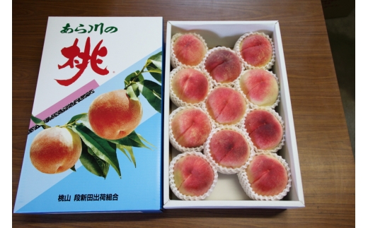 N394　桃（あら川の桃）　紀の川産