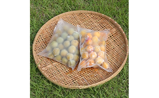 N395　農薬を使用していない南高梅（冷凍梅シロップ用）