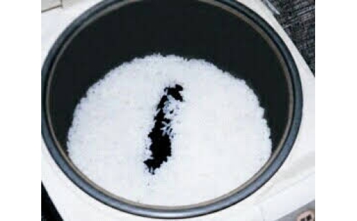 N169　いつものごはんが水が美味しく　６００ｇ入り