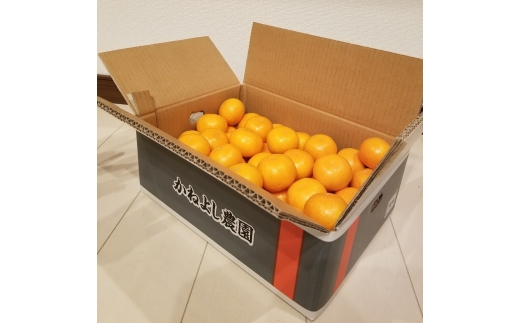 N256　かねよし農園みかん５ｋｇ　Ｓサイズ