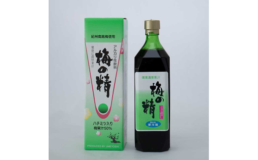 N341　梅の精