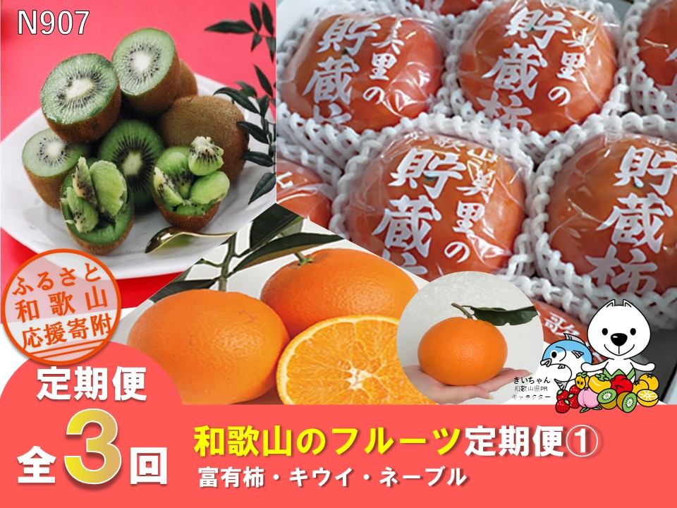 N907 【全3回定期便】和歌山のフルーツ定期便①（富有柿・キウイ・ネーブル）
