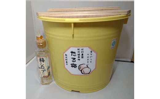 M453　紀州健康梅　たる梅１０ｋｇ　梅シロップ１５０ｍｌ