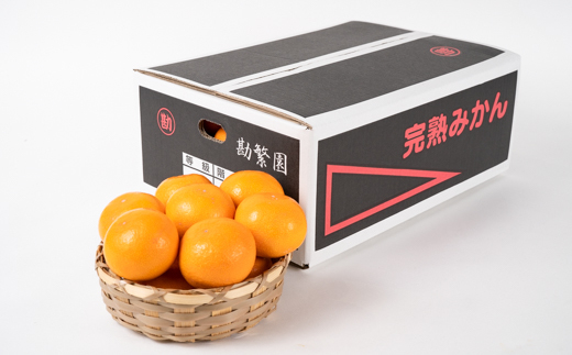 M440　超熟屋根掛けみかん　黒特選１０ｋｇ