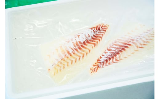 M431　紀州梅まだいのフィーレ（２尾分）