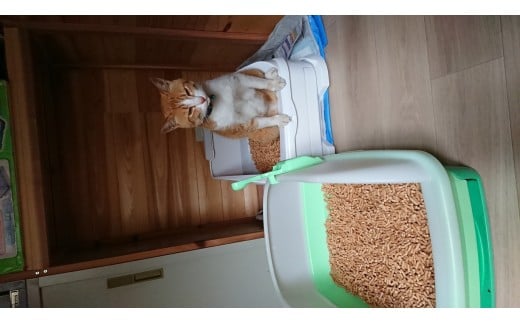 M407　森のねこトイレ２．５Ｌ×１２袋