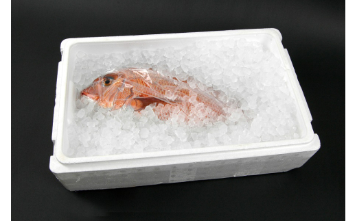 M378　紀州梅まだい３尾（鮮魚）