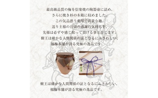 M365　樹王１．３ｋｇ（まろやか梅）