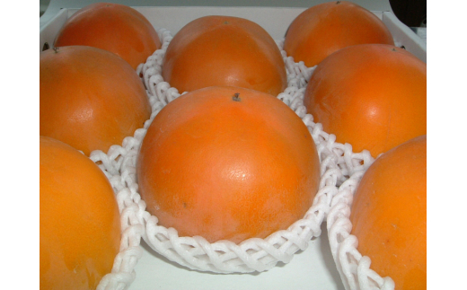 M355　温室新秋柿プレミアム