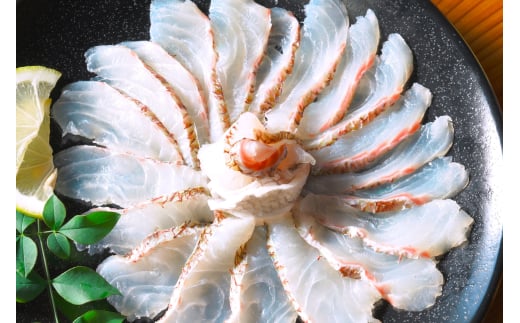 M293　紀州梅まだいしゃぶしゃぶセット（じゃばらポン酢付き）