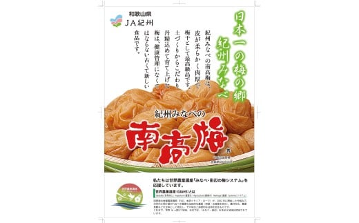 M277　塩零梅　７００ｇ×２