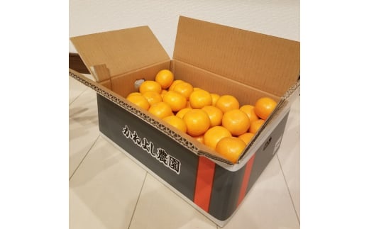 M250縲縺九ュ繧医@霎イ蝨偵∩縺九sシ包ス具ス縲シウ繧オ繧、繧コ