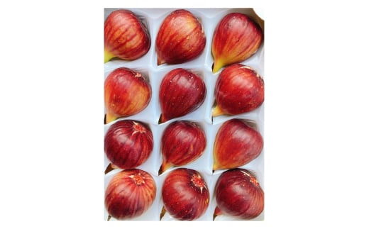 M245　いちじくプリンセス　２箱