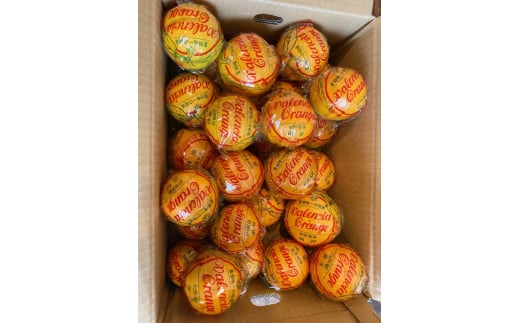 M243　かねよし農園青バレンシアオレンジ５ｋｇ