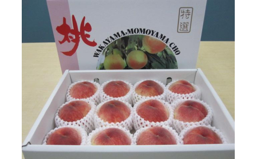 M242　あら川の桃（白鳳、清水白桃、川中島）品種お任せ