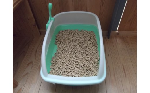 M211ãæ£®ã®ãããã€ã¬ãããããã¿ã€ããïŒïŒ¬ÃïŒè¢