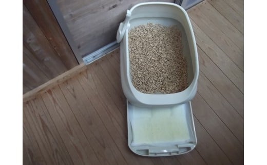 M210ãæ£®ã®ãããã€ã¬ïŒïŒïŒïŒ¬ÃïŒè¢