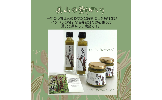 M184　【美山の贅】イタドリのジャムとドレッシングのセット