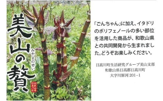 M183縲縲千セ主アア縺ョ雍縲代う繧ソ繝峨Μ蜉蟾・蜩シ鍋ィョ隧ー蜷医○繧サ繝繝
