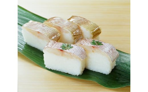 M176　小鯛棒寿司