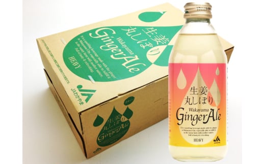 M097　生姜丸しぼりわかやまジンジャーエール