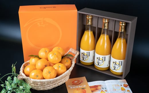 M086　有田みかんの味皇７２０ｍｌ×３本