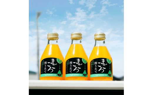 M083　まごころ搾りたて有田産不知火ジュース１８０ｍｌ　１２本入