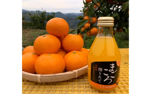 M082　まごころ搾りたて有田産みかんジュース１８０ｍｌ　１２本入