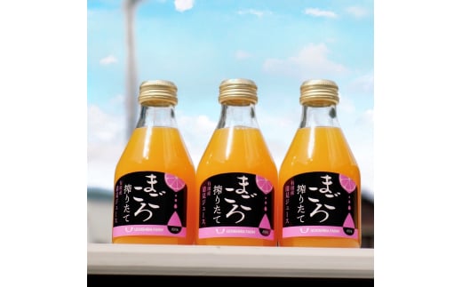 M081　まごころ搾りたて有田産清見ジュース１８０ｍｌ　１２本入