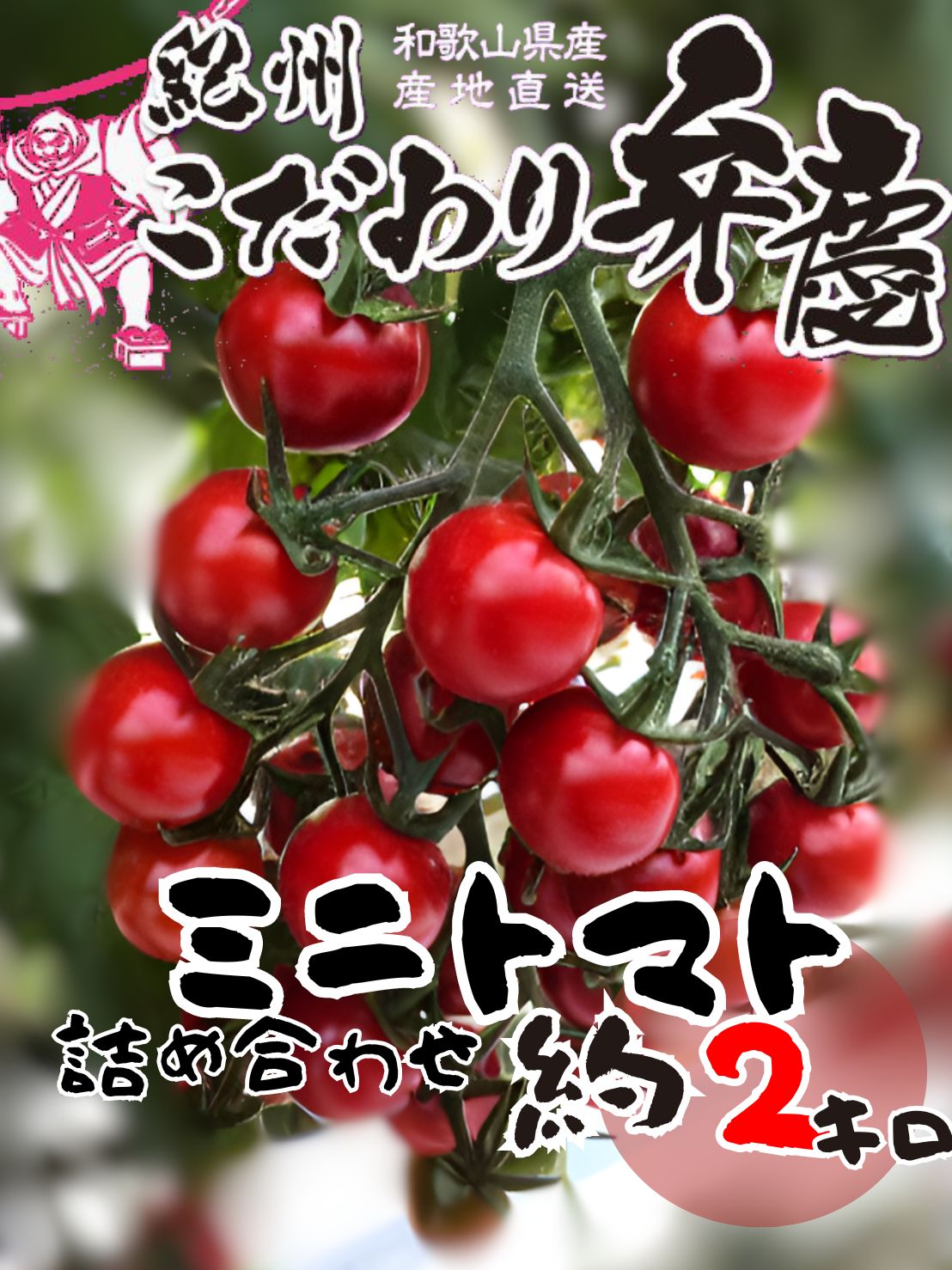 M010　こだわりミニトマト詰め合わせ