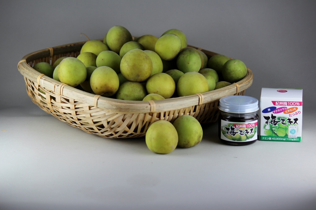 M281　紀州梅１００％梅エキス４個セット