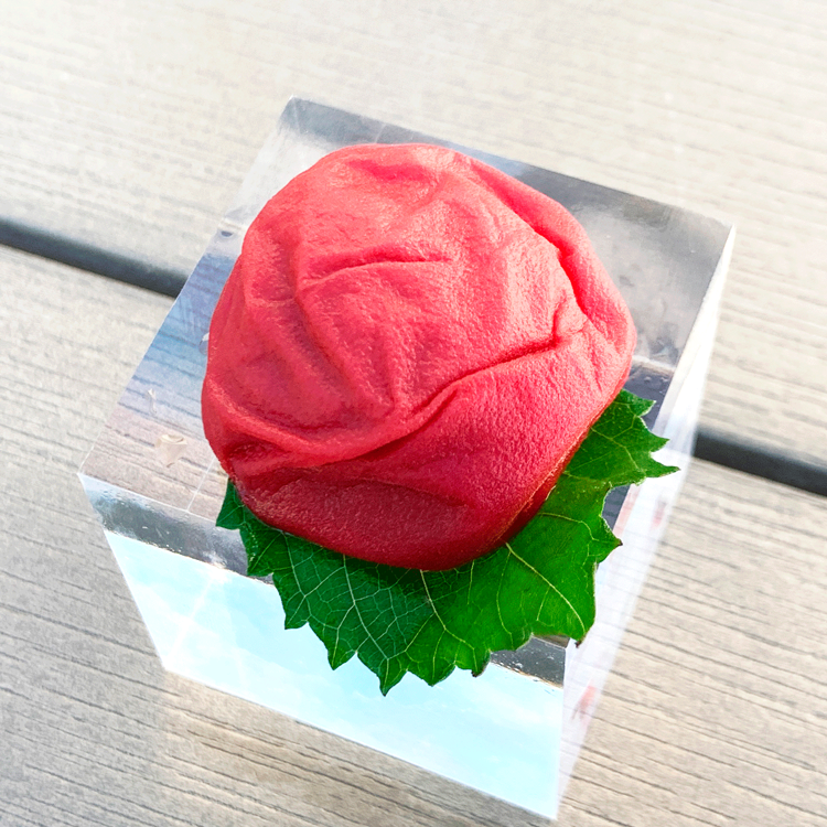 M274　moro moloプレミアセット B