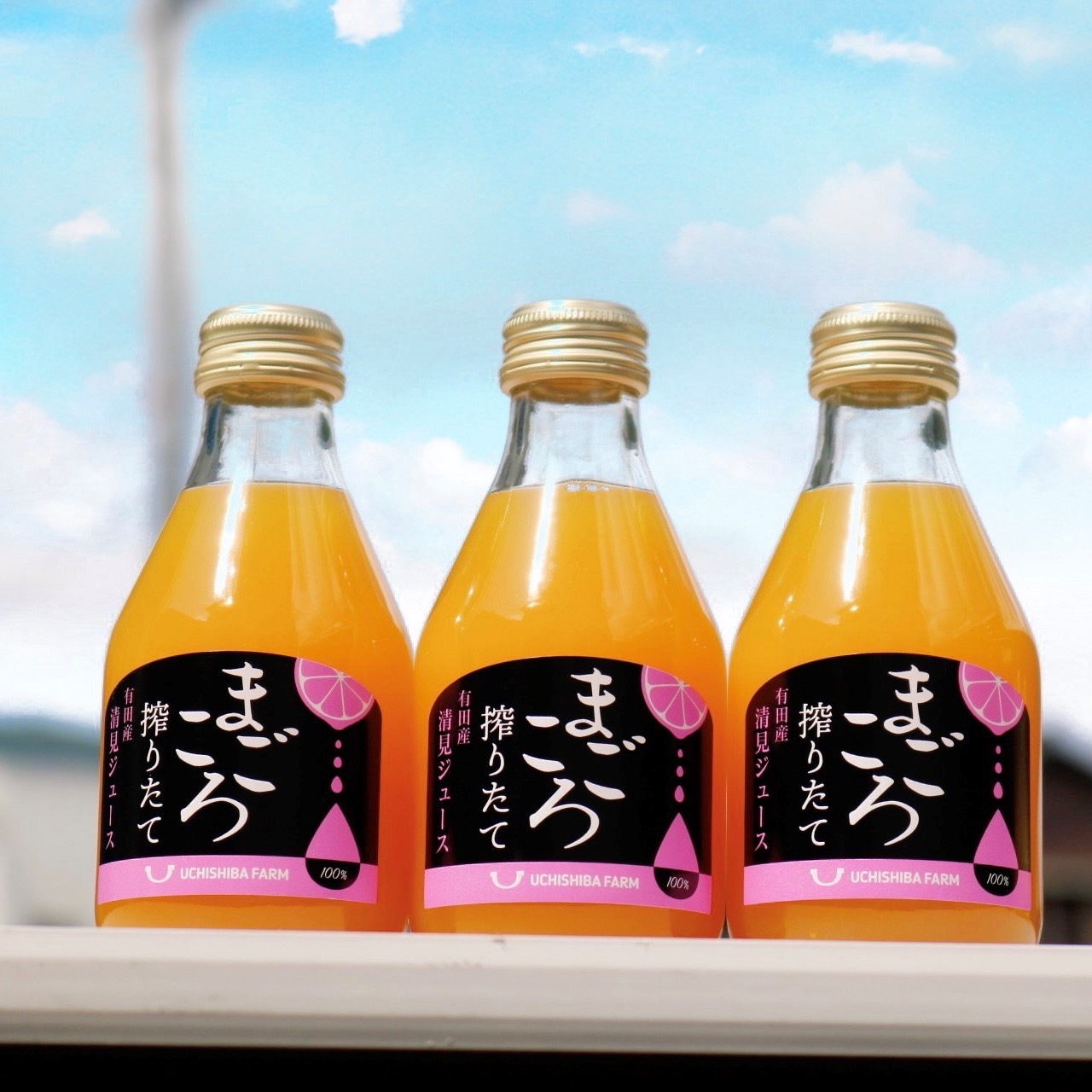 M081　まごころ搾りたて有田産清見ジュース１８０ｍｌ　１２本入