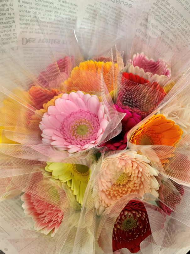 M014　元気なガーベラ２０本セット