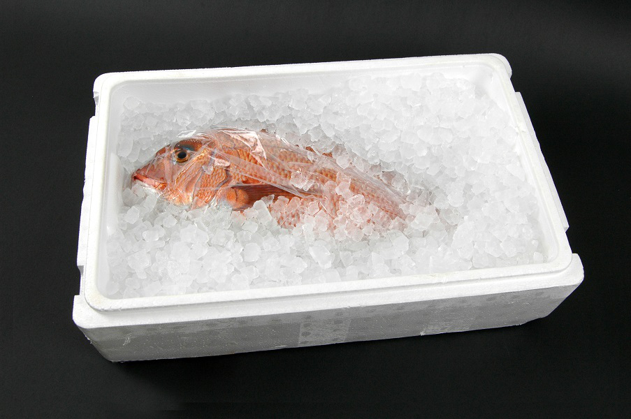 M378　紀州梅まだい３尾（鮮魚）