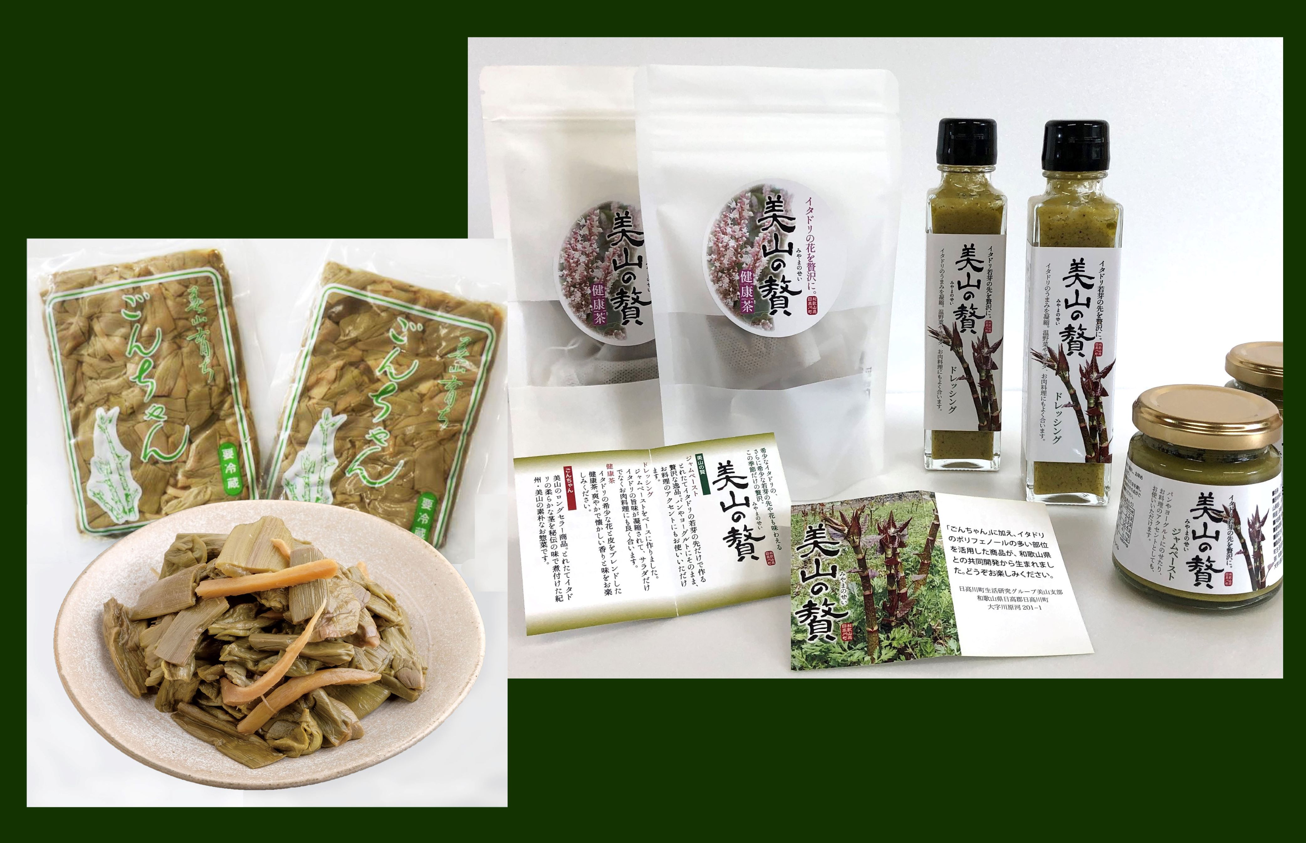 M182　【ごんちゃん＋美山の贅】イタドリ加工品４種詰合せセット